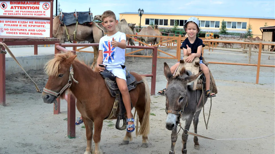 Photo moments with camels in the Nessebar area