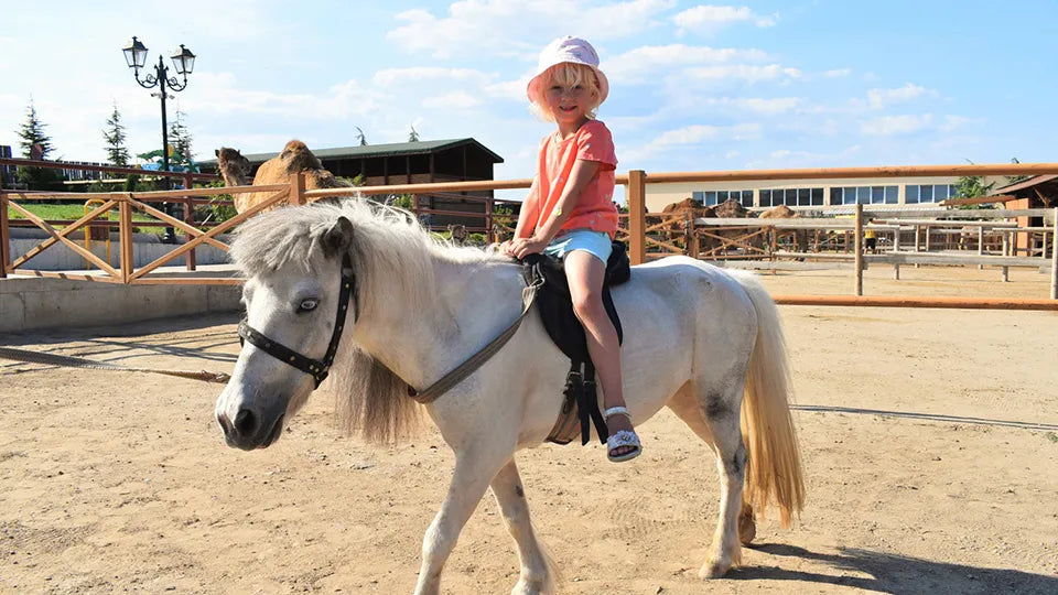 Children’s playground at Camel Park near Sunny Beach