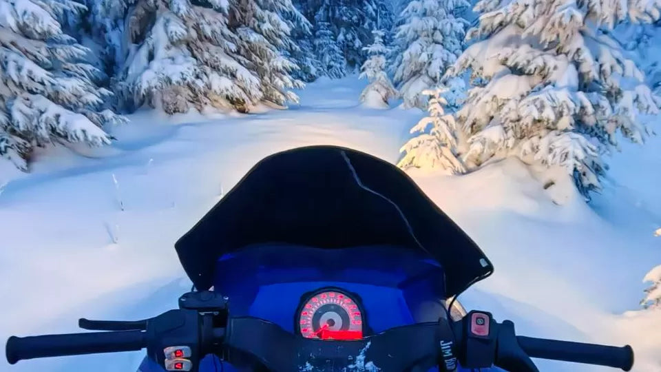 Night ride through a winter forest near Petrohan on snowmobiles