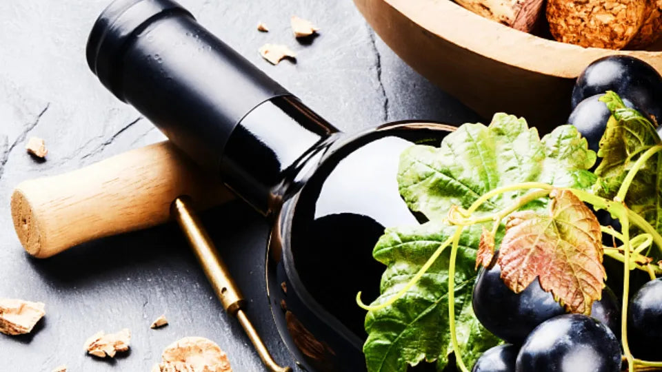 Gift voucher: wine tasting with corgis in Sofia