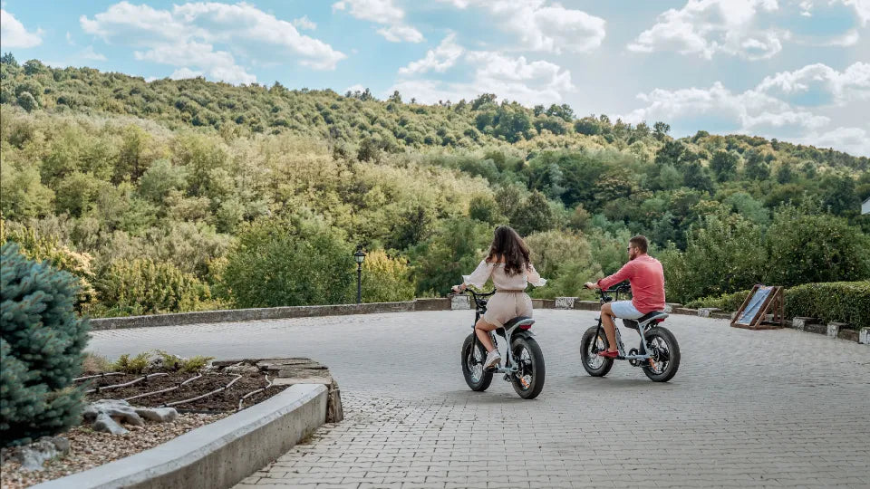 Ваучер Разходка с електрически велосипед с. Арбанаси, Велико Търново