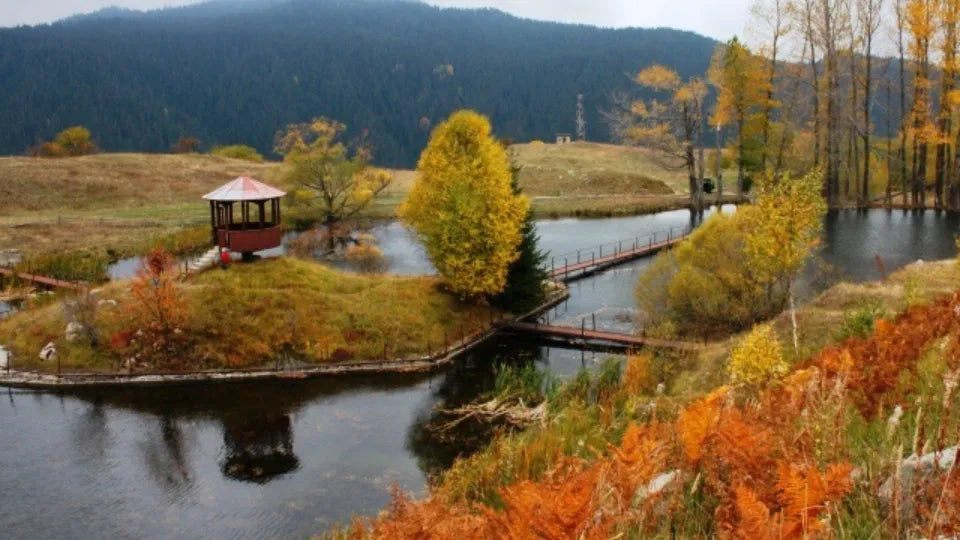 Jeep tour to the Chairski Lakes and the “Drunken Forest”, Yagodina