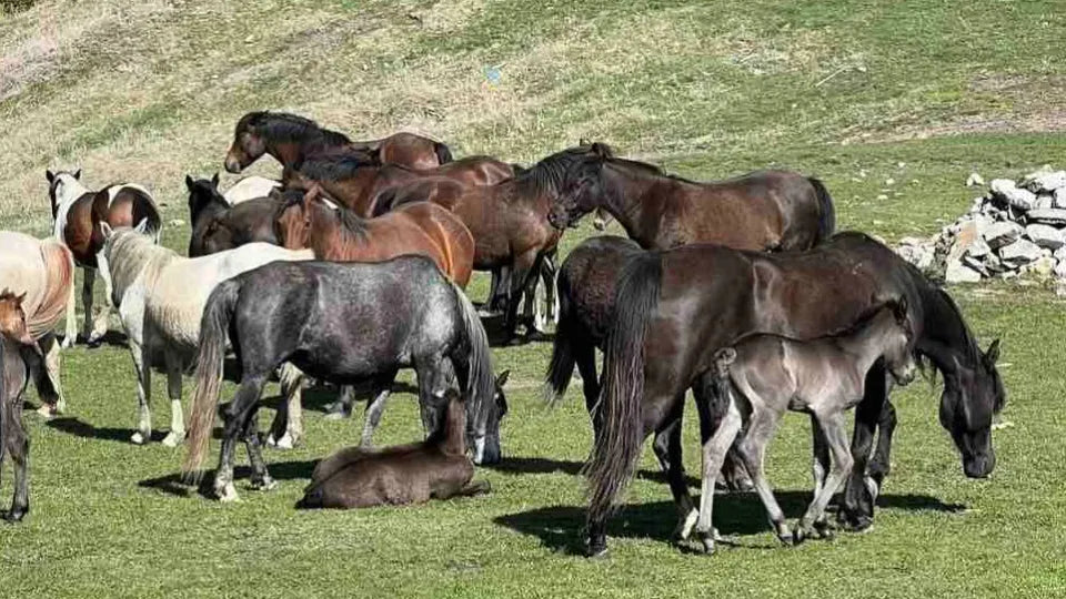 Разходка с джип до Чаирски езера и Пияната гора Хижа Тешел, Ягодина