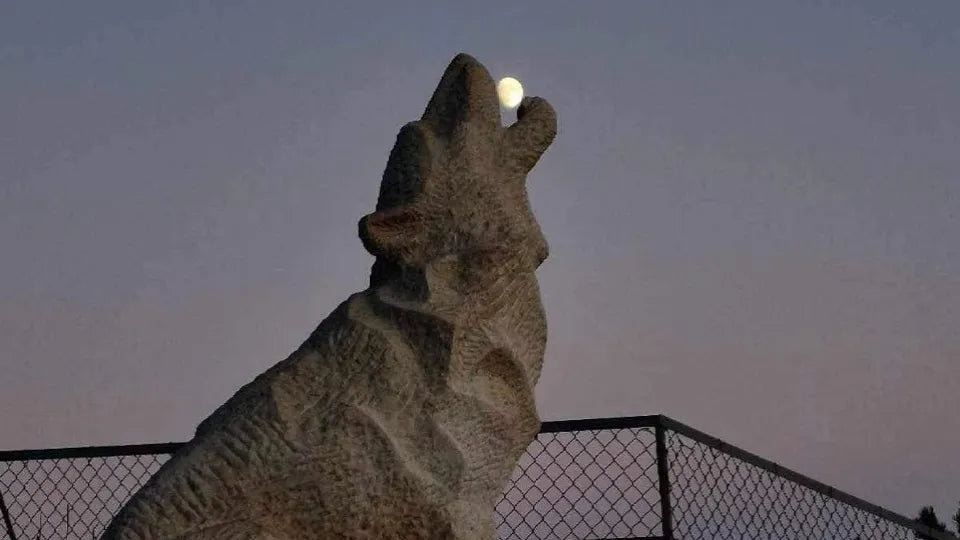 Разходка с джип до Вълчи камък Шофиране и моторни спортове