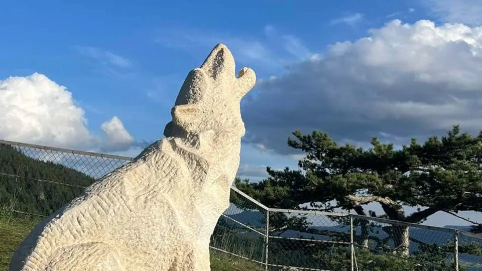 Private jeep tour to Wolf Stone – Yagodina