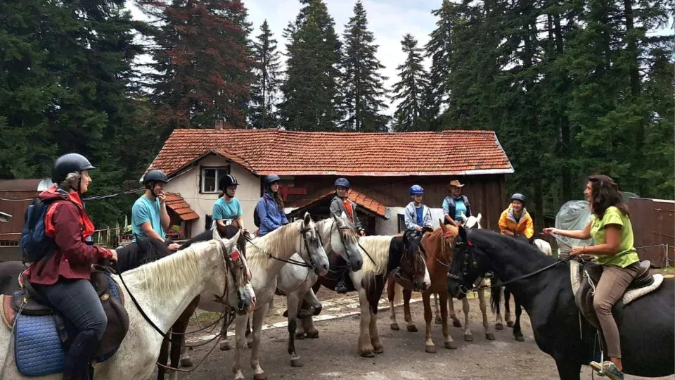 Gift voucher for a horse riding lesson in Borovets