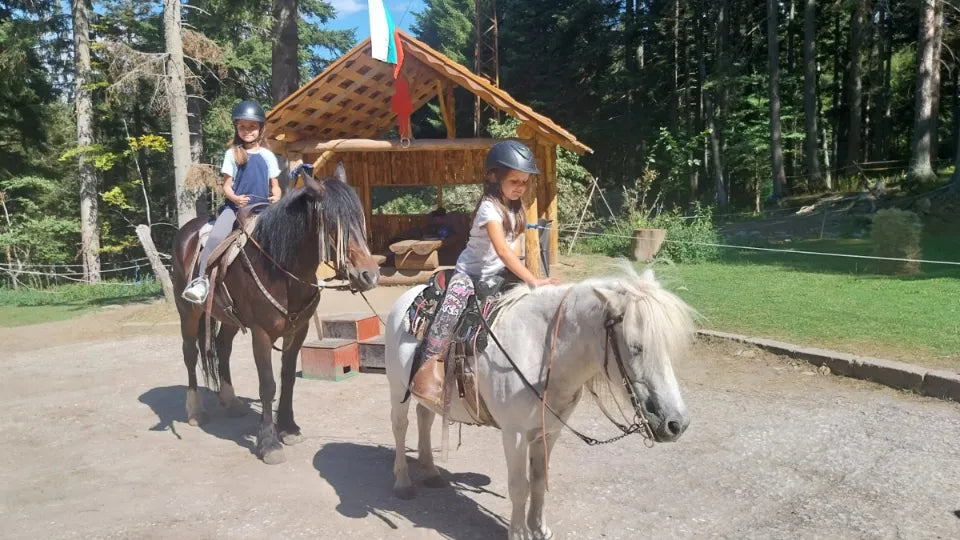 Nature ride near Borovets with calm school horse