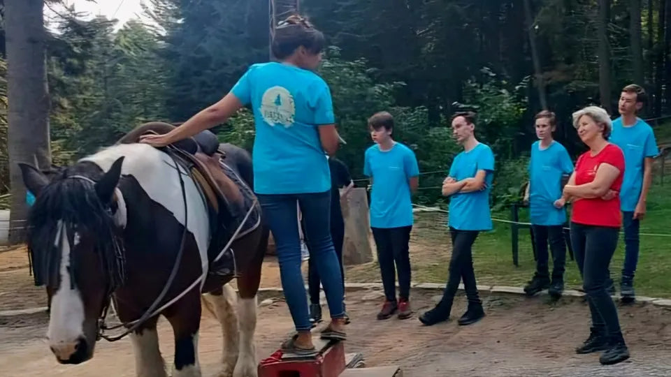 Arena coaching during horse riding lesson in Borovets