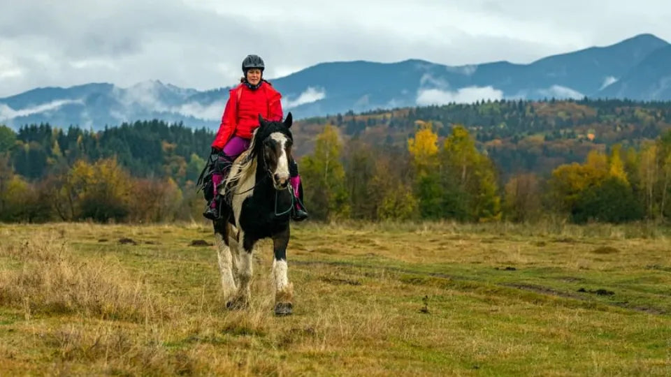 Safety gear and riding helmet included in Borovets lesson