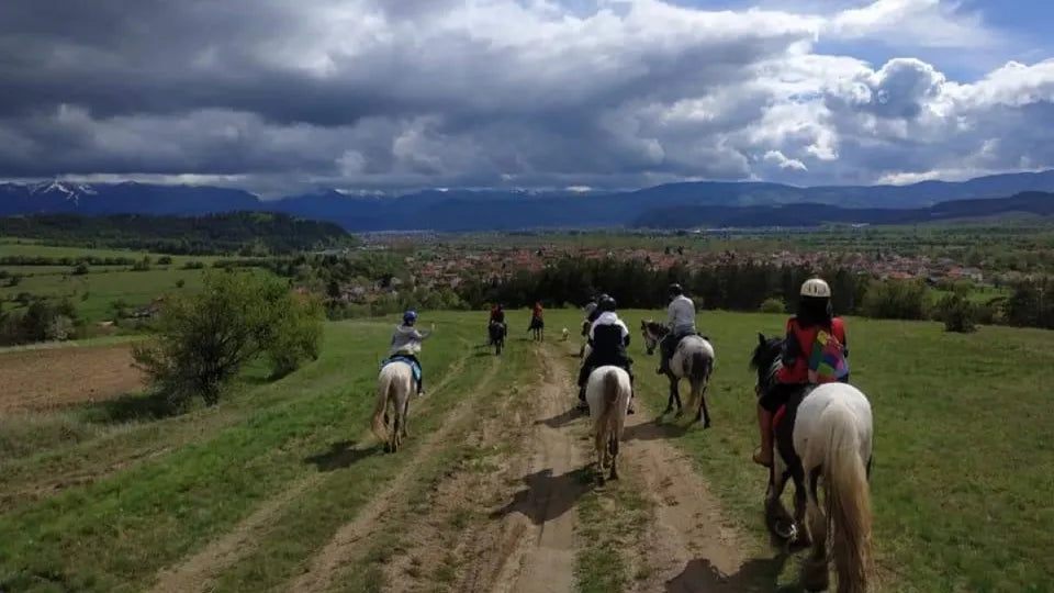 Trail ride on horseback in Borovets nature