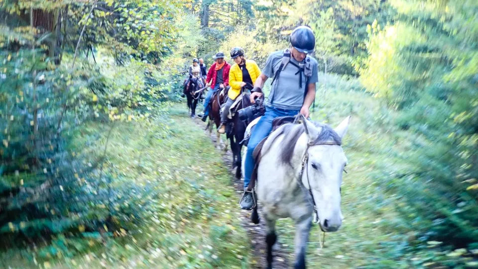 Rider with helmet on a trail in Borovets