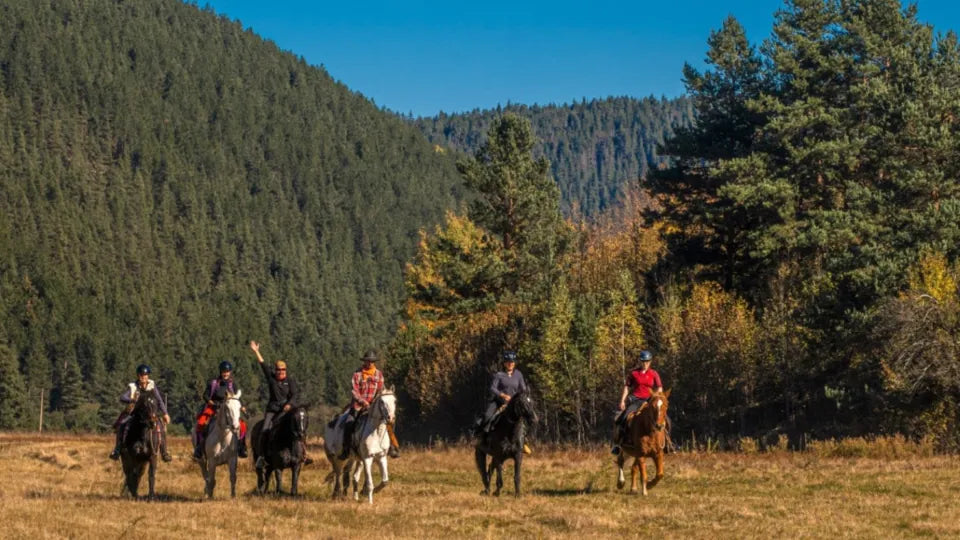 2-hour horseback riding in Borovets with instructor