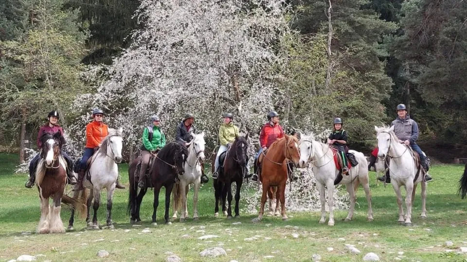Gift voucher for a 2-hour horseback ride in Borovets