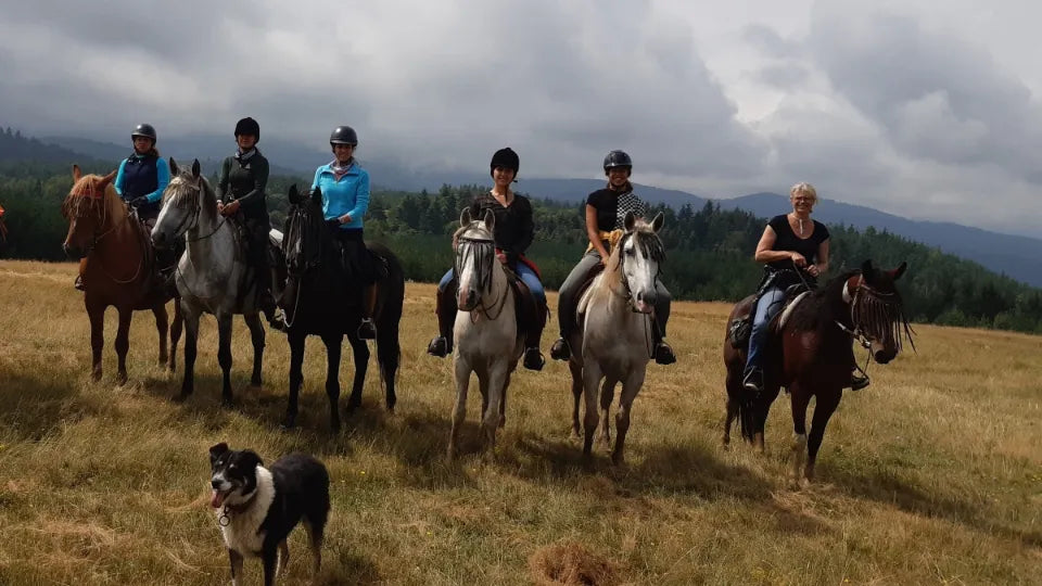 2-hour horseback riding for two in Borovets