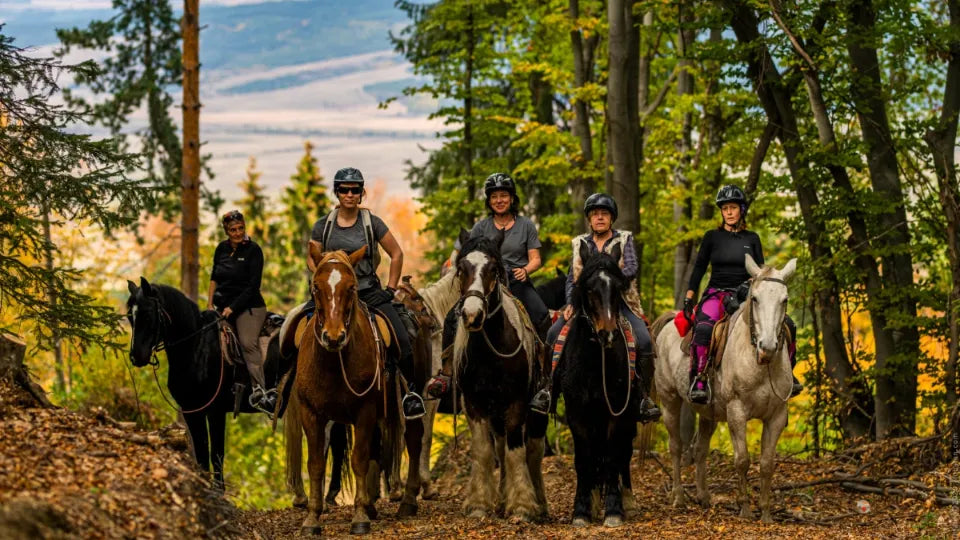 Конен поход 2 часа Приключения с животни