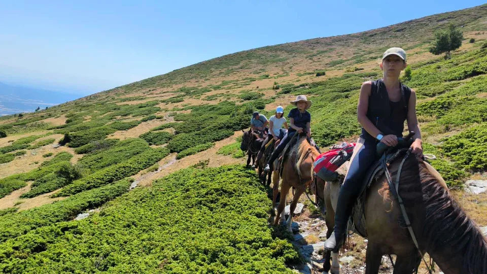 Конна езда или разходка с файтон и обяд в автентична юрта ваучер