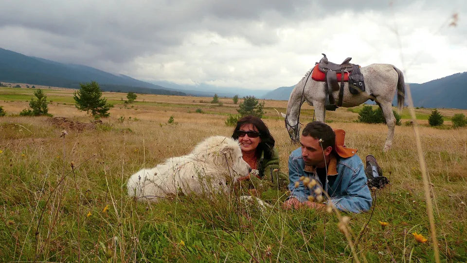 Gift voucher for romantic horseback ride in Borovets to Black Rock