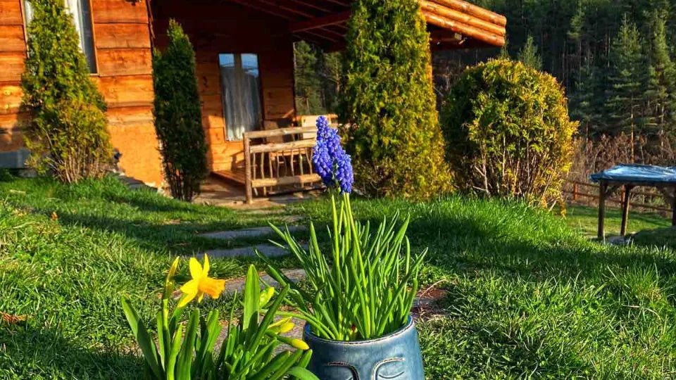 Romantic Stay for Two in a Private Wooden Eco House in Leshten