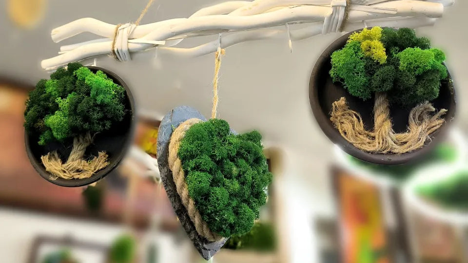 Scandinavian moss workshop in Sofia – creating a green wall panel