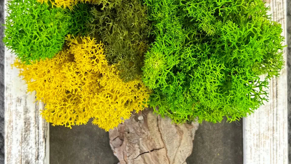 Tree of Life made with Scandinavian moss – workshop in Varna