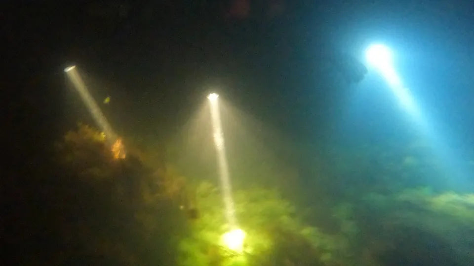 Gift voucher for night snorkeling in Nesebar