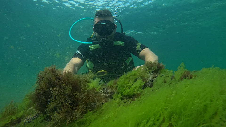 Full scuba gear provided for PADI OWD course in Nessebar