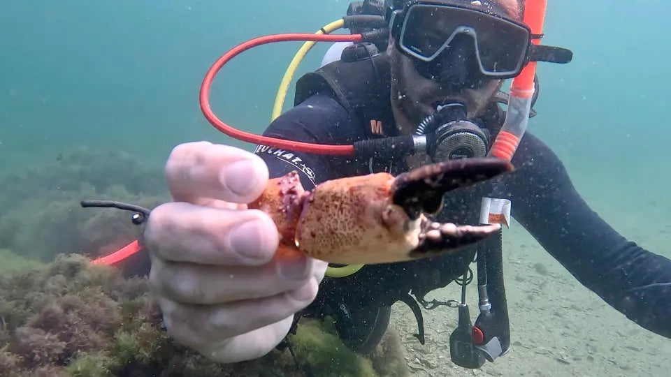 PADI Scuba Diver course in Nessebar – 2 days up to 12 m