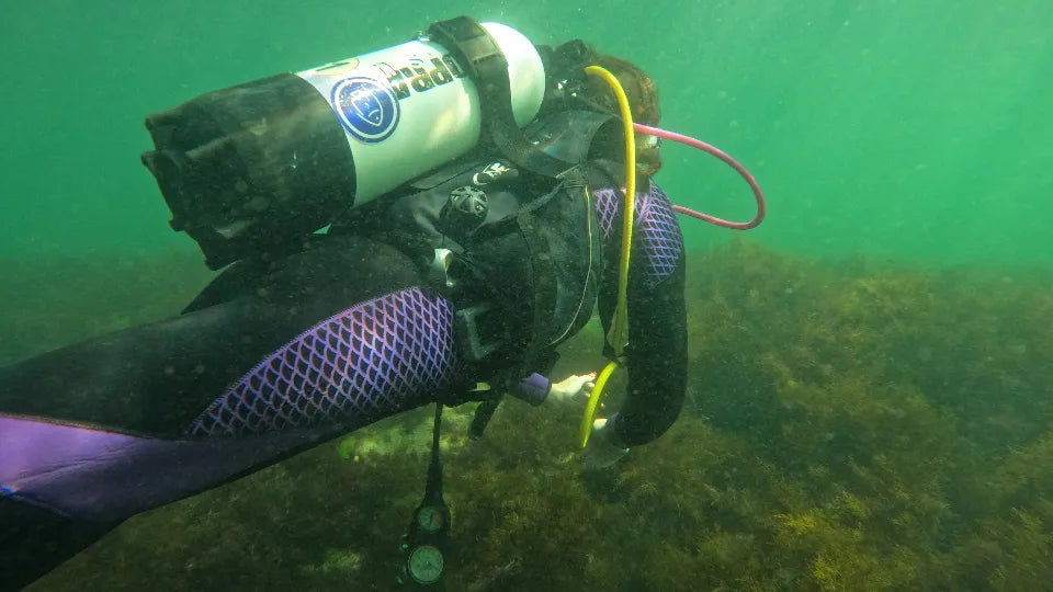 Open-water training dive near Nessebar during PADI Scuba Diver course