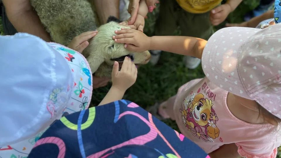 Farmer guiding visitors at a working farm in Lozen, Sofia