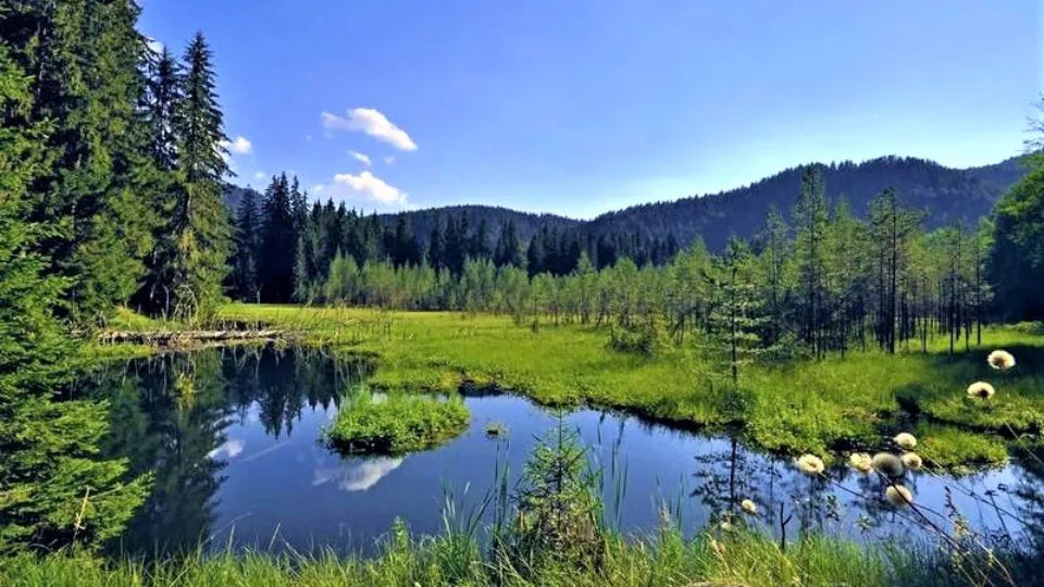 Off‑road jeep near Gyovren village in the Western Rhodopes