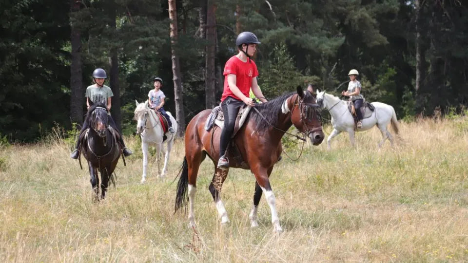 Guided forest horse riding in Borovets with keepsake workshop