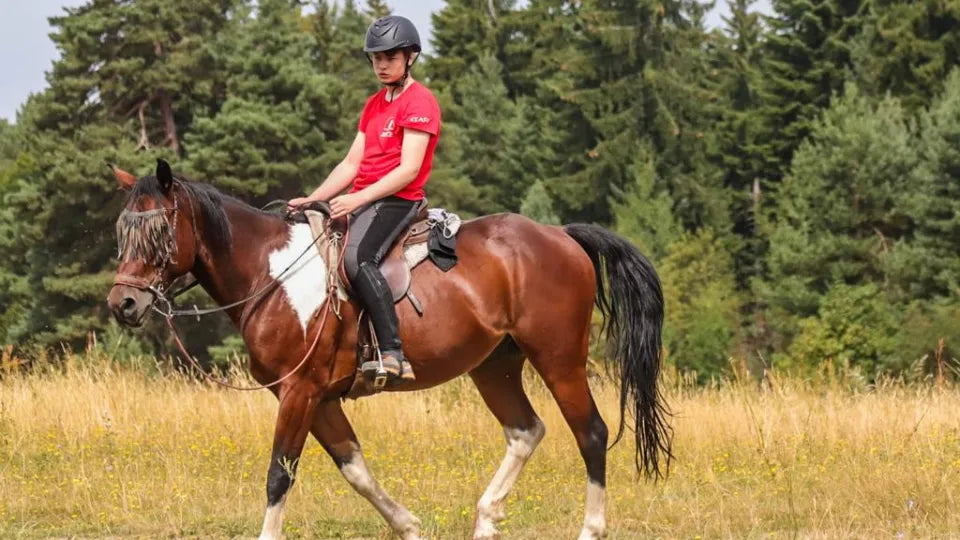 Group horse riding and creative workshop in Borovets