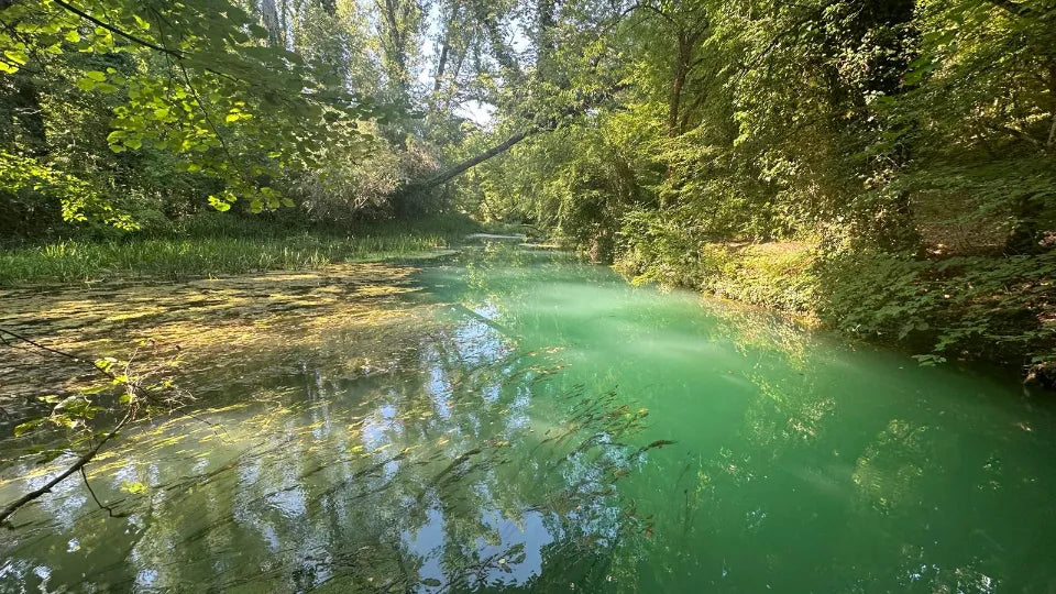 Varna treasure hunt route for kids and families