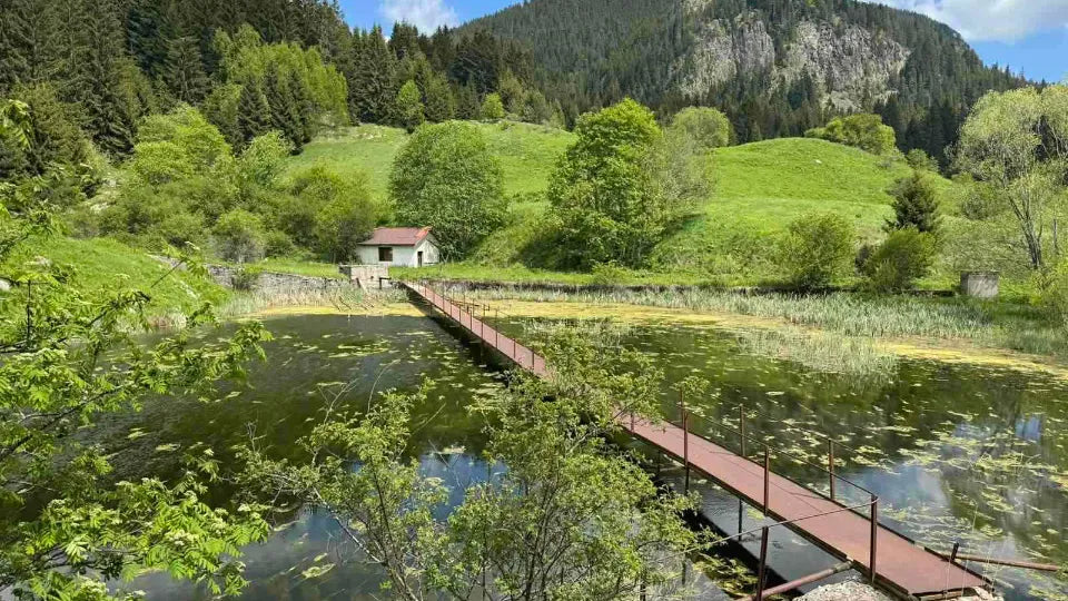 Ваучер Разходка с джип до Чаирски езера и Пияната гора Хижа Тешел, Ягодина