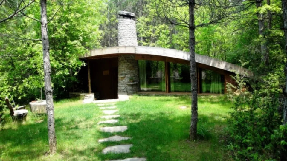 Shell House Gaitaninovo exterior among trees