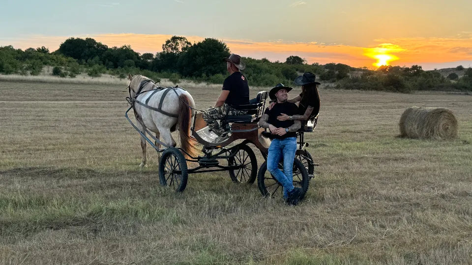 Romantic horse-drawn carriage ride for two near Burgas