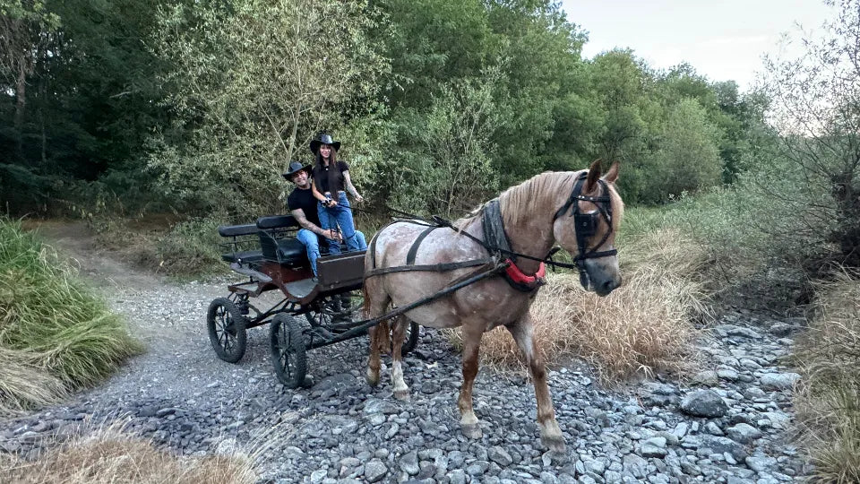 Private carriage ride for two near Burgas with a guide