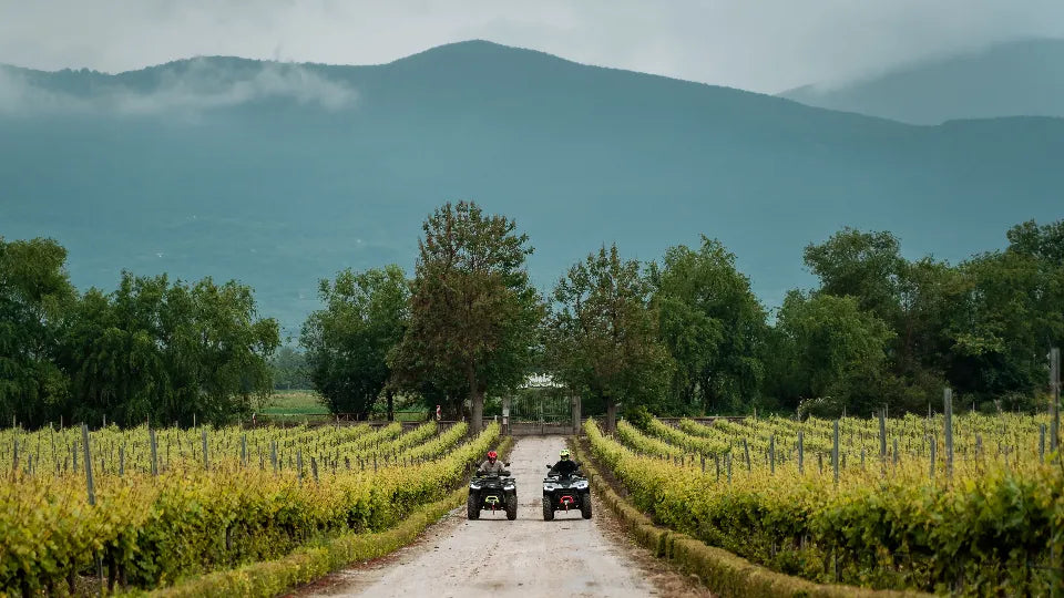 Rider navigating a woodland track on a 500cc ATV near Ustina