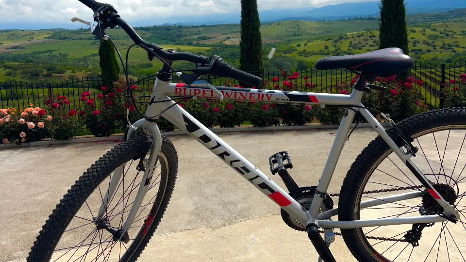 Cycling among vineyards near Dolno Spanchevo, Petrich