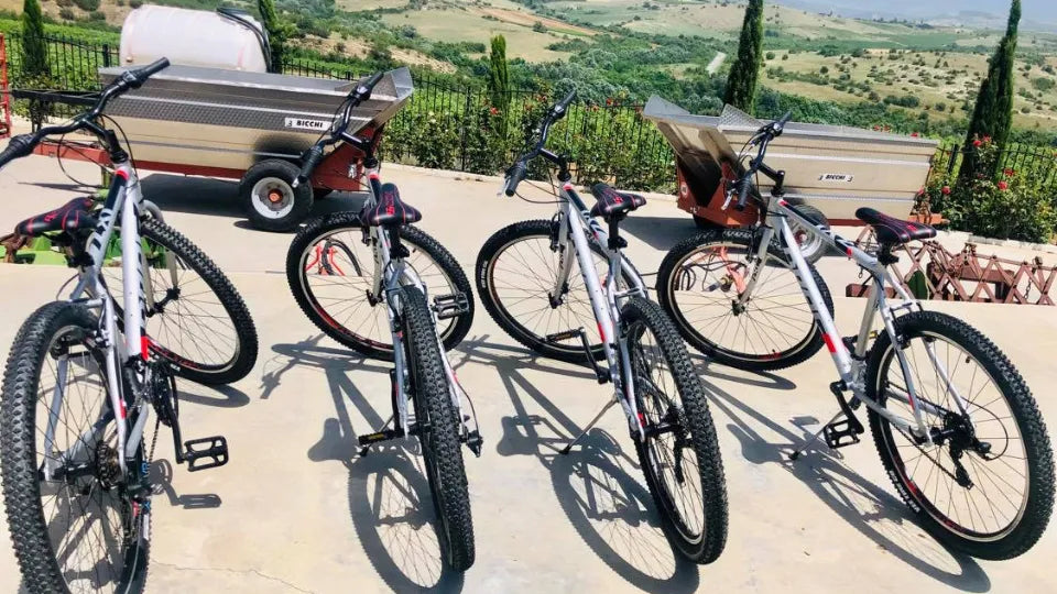 Wine cycling tour in Petrich for two