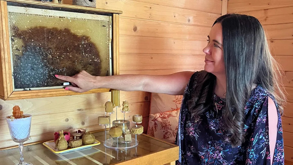 Релакс в пчелна стая София, район Павлово