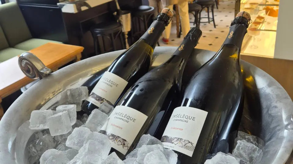 Champagne tasting in Sofia with Blagoy Kuzmanski – three styles in elegant flutes