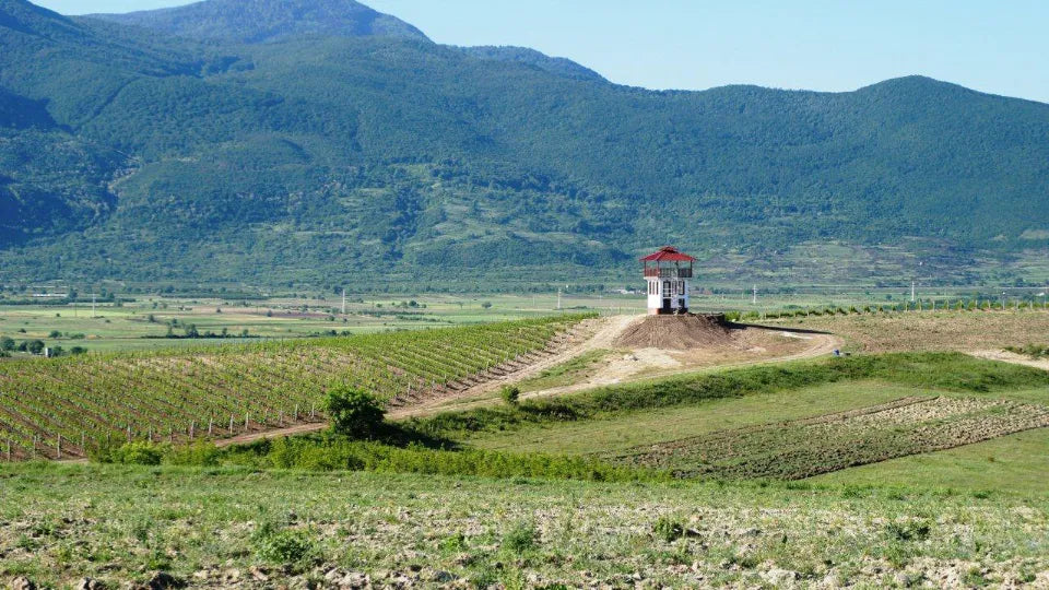 Romantic Picnic for Two near Plovdiv with Horseback Riding or E-Bike Option Ustina near Plovdiv Adventico