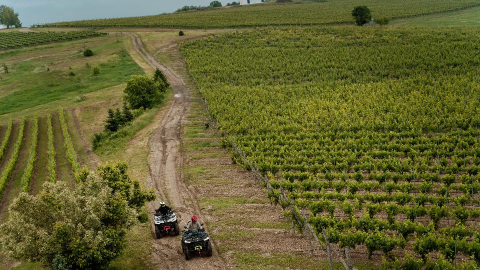 Vineyard and hillside horseback ride near Plovdiv