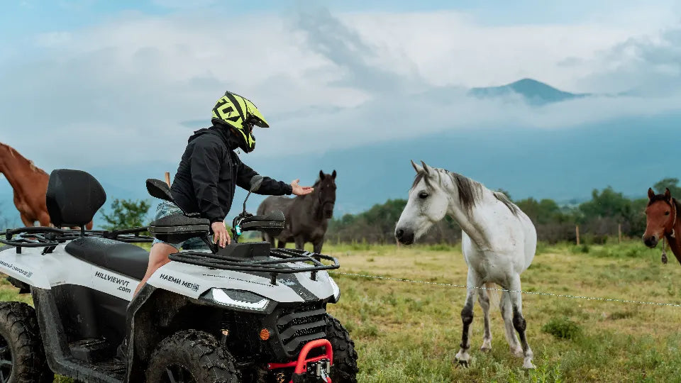 Horseback riding for two near Plovdiv