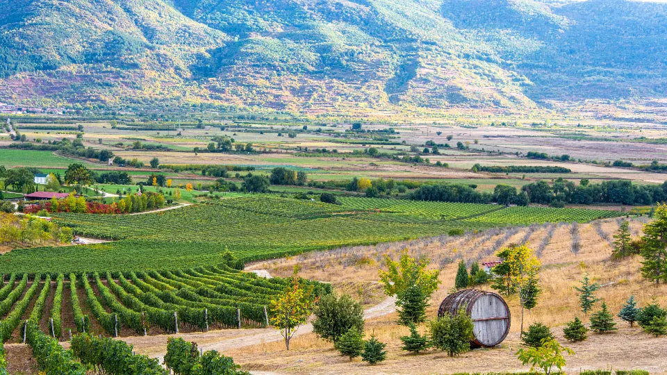 Romantic adventure for two: ATV and horses near Plovdiv