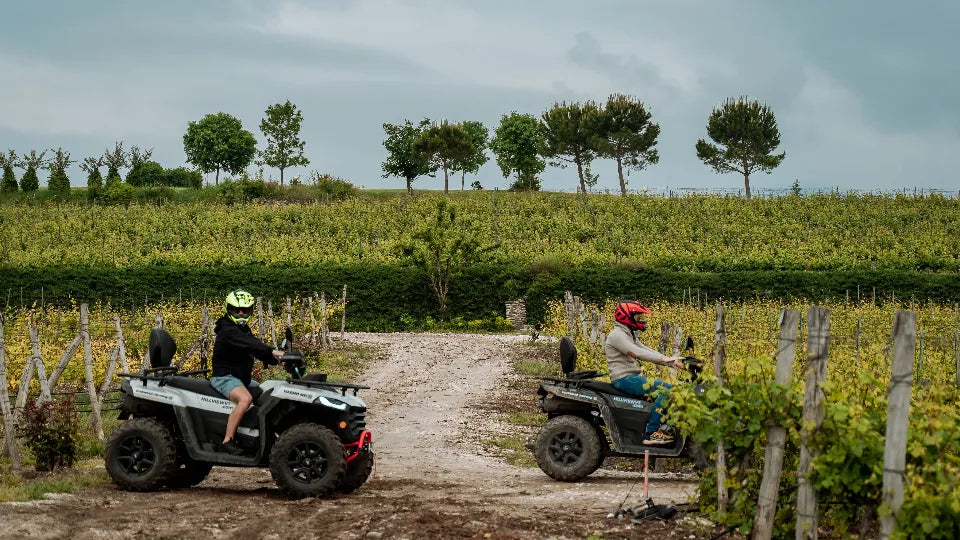 Horseback trek with Rhodope Mountain views