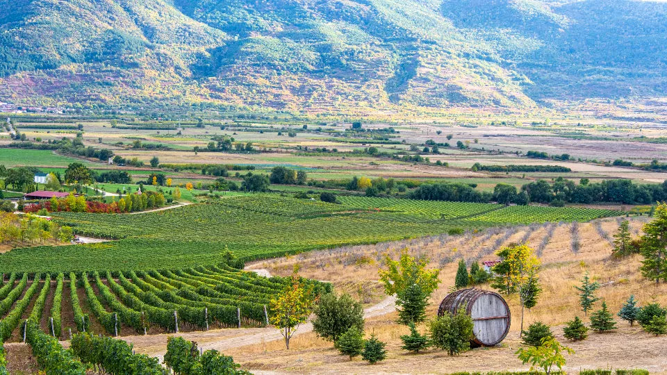 ATV adventure and three-course picnic near Plovdiv