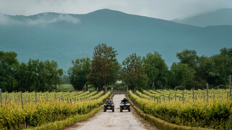 ATV off-road and picnic for two near Plovdiv in Ustina