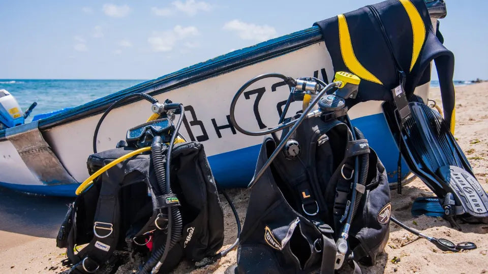 Scuba dive with bonus video in Shkorpilovtsi